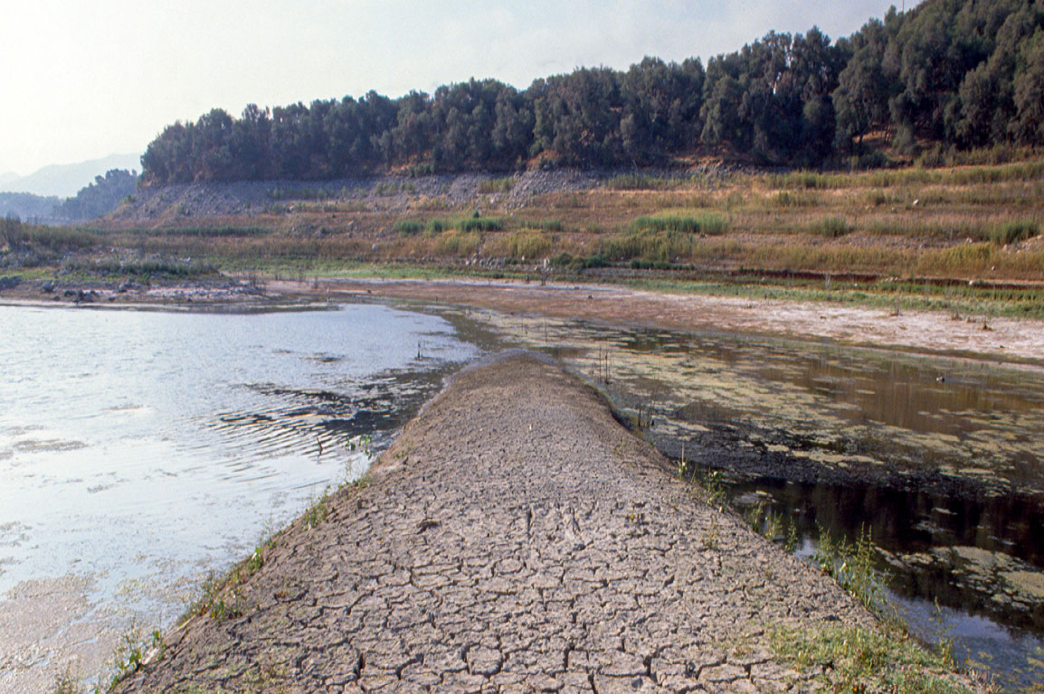 A pond of water split by a peninsula of cracked, dry ground